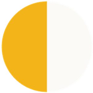 L10 Yellow-White