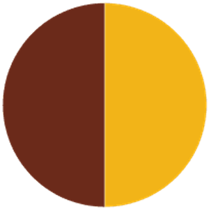 L12 Brown-Yellow