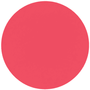 L42 Southern Rose