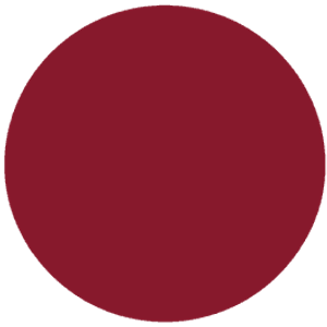 L58 Raspberry