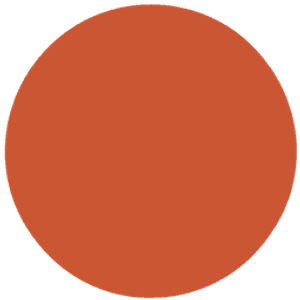 L93 Bronze
